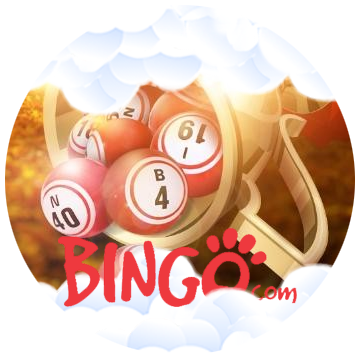 bingo 2025